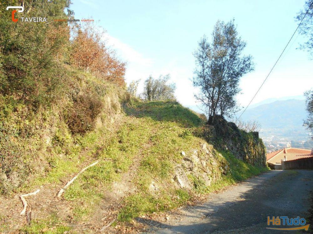 Terreno p/ construção + Ruina Terreno p/ construção + Ruina