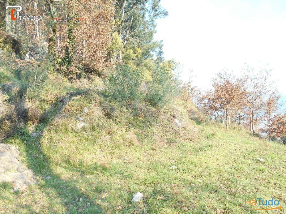 Terreno p/ construção + Ruina Terreno p/ construção + Ruina