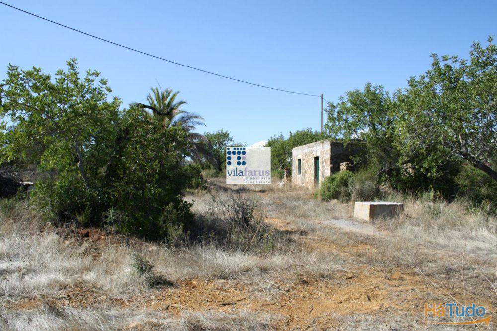 Terreno com 3.880m2 para construção de moradia Terreno com 3.880m2 para construção de moradia