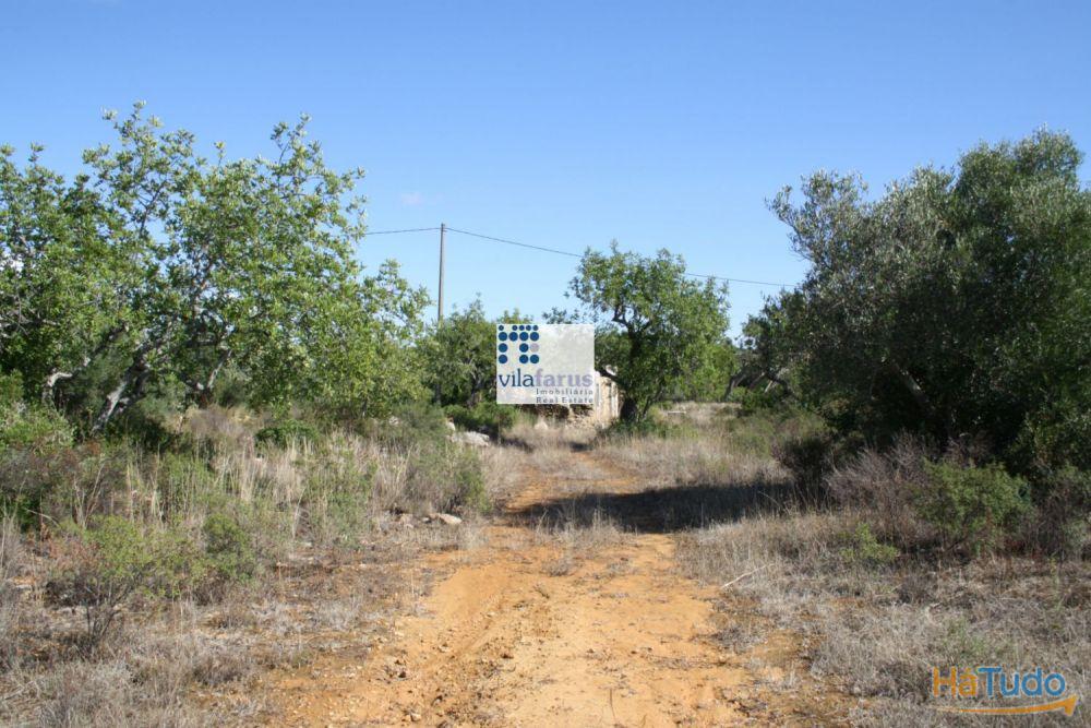 Terreno com 3.880m2 para construção de moradia Terreno com 3.880m2 para construção de moradia