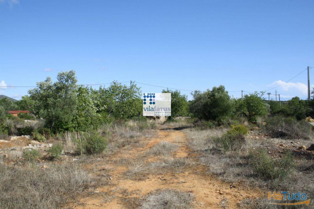 Terreno com 3.880m2 para construção de moradia Terreno com 3.880m2 para construção de moradia