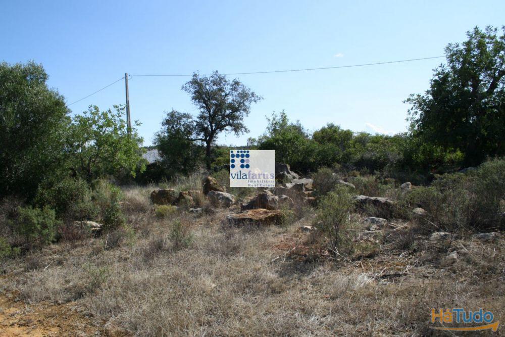 Terreno com 3.880m2 para construção de moradia Terreno com 3.880m2 para construção de moradia