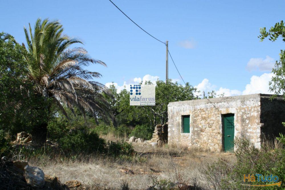 Terreno com 3.880m2 para construção de moradia Terreno com 3.880m2 para construção de moradia