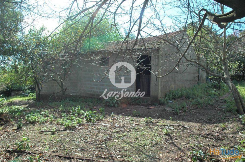 Quintinha com 7.200 m2 para 2 moradias individuais em Brufe Quintinha com 7.200 m2 para 2 moradias individuais em Brufe