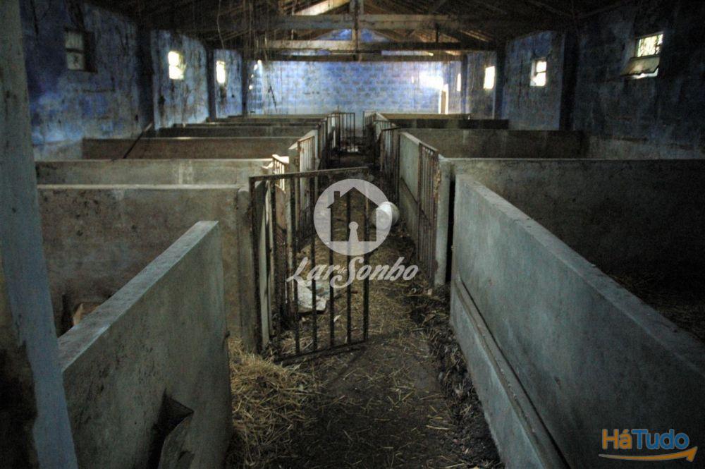 Quintinha com 7.200 m2 para 2 moradias individuais em Brufe Quintinha com 7.200 m2 para 2 moradias individuais em Brufe