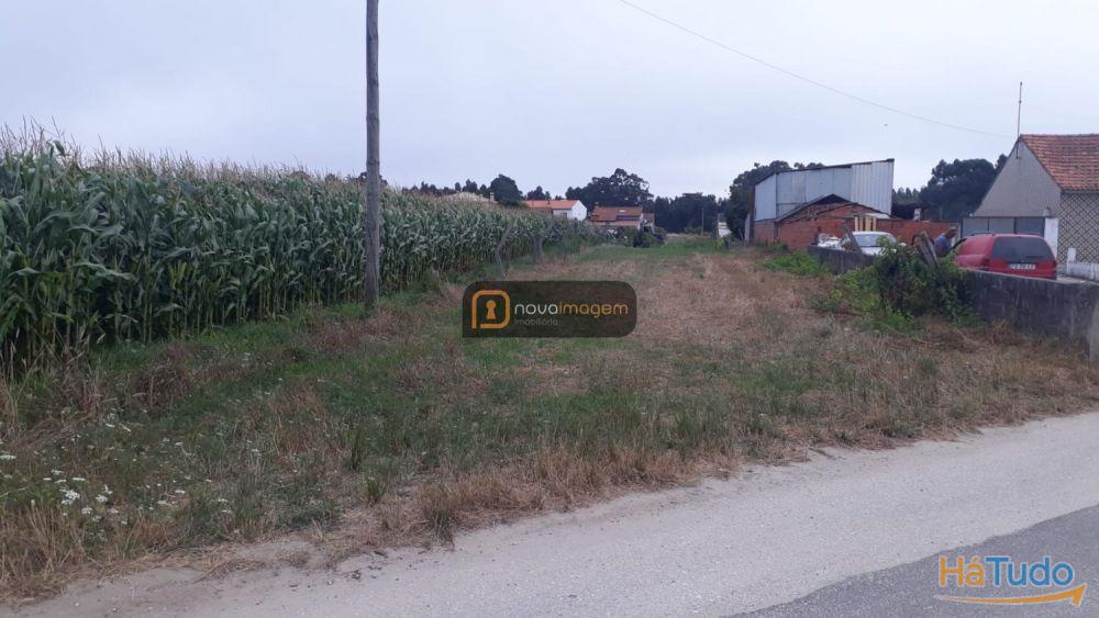 Terreno com 1612m2 - Passadiços Esgueira Terreno com 1612m2 - Passadiços Esgueira