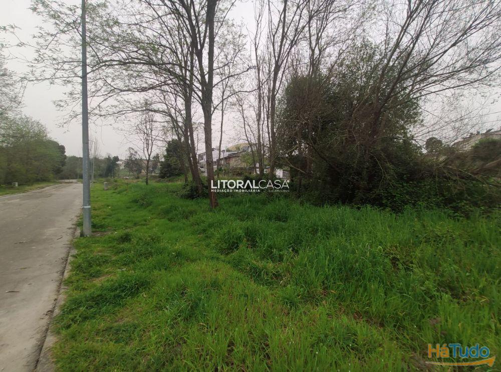 Terreno urbano, 500 m2 na Borralha Agueda Terreno urbano, 500 m2 na Borralha Agueda