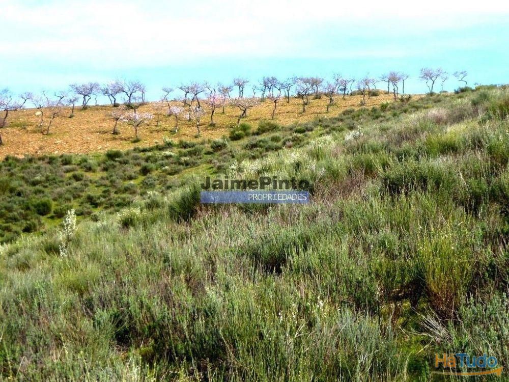 78.000m2 Terreno para Plantações e para construção Casa de Campo. Portugal, Alfândega da Fé. 78.000m2 Terreno para Plantações e para construção Casa de Campo. Portugal, Alfândega da Fé.