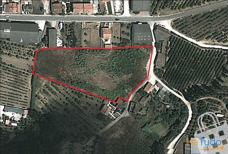 Terreno para moradia - Terreno com 8643 m2 para construção de Moradia e Armazens