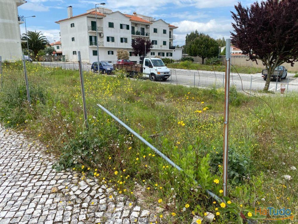 Terreno à venda no concelho de Ferreira do Zêzere, Santarém Terreno à venda no concelho de Ferreira do Zêzere, Santarém