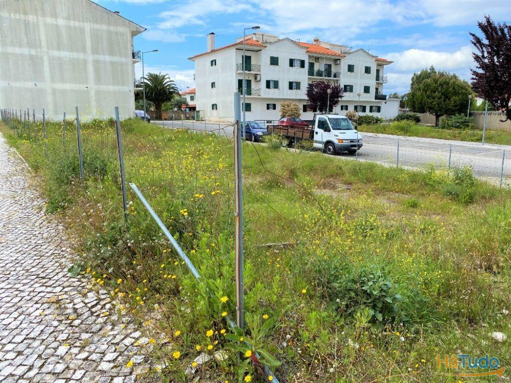 Terreno à venda no concelho de Ferreira do Zêzere, Santarém Terreno à venda no concelho de Ferreira do Zêzere, Santarém