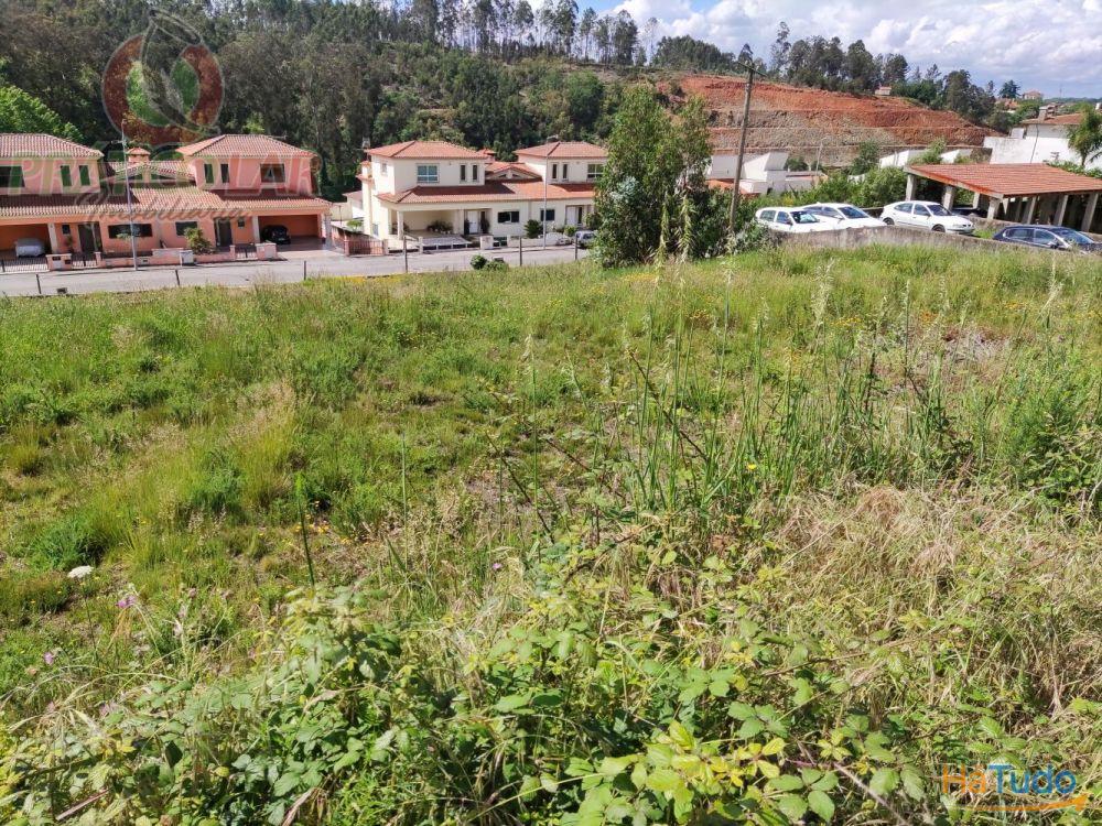 Lotes para construção Lotes para construção