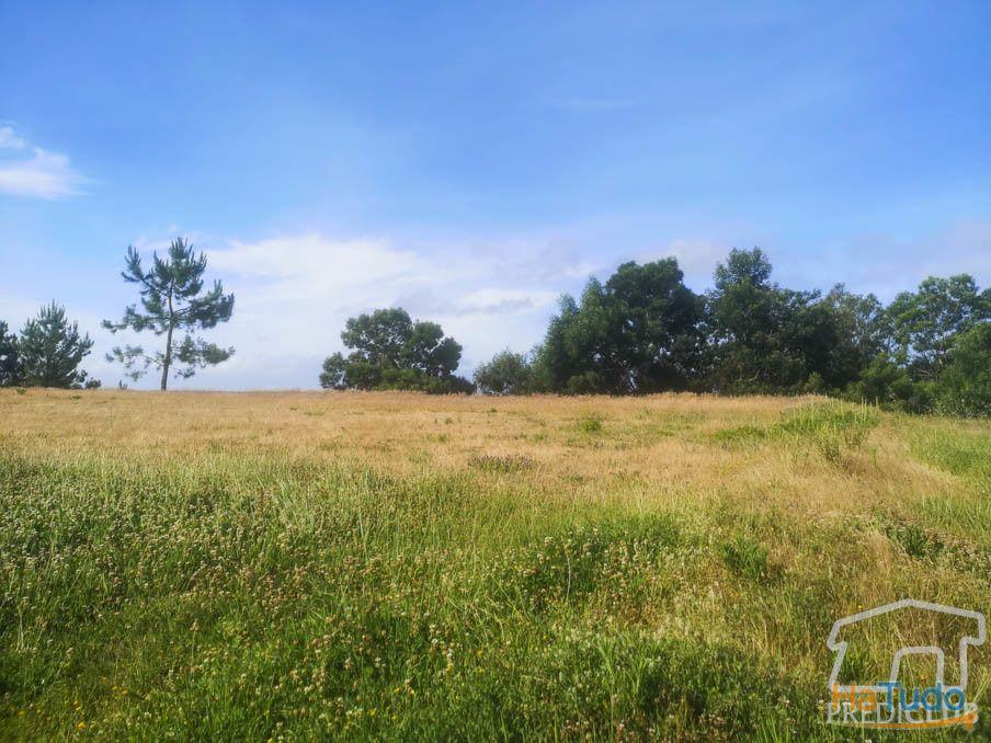 Terreno - Boa Morte Terreno - Boa Morte