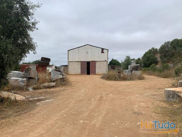 Quinta Alentejo com 5,6Ha Quinta Alentejo com 5,6Ha