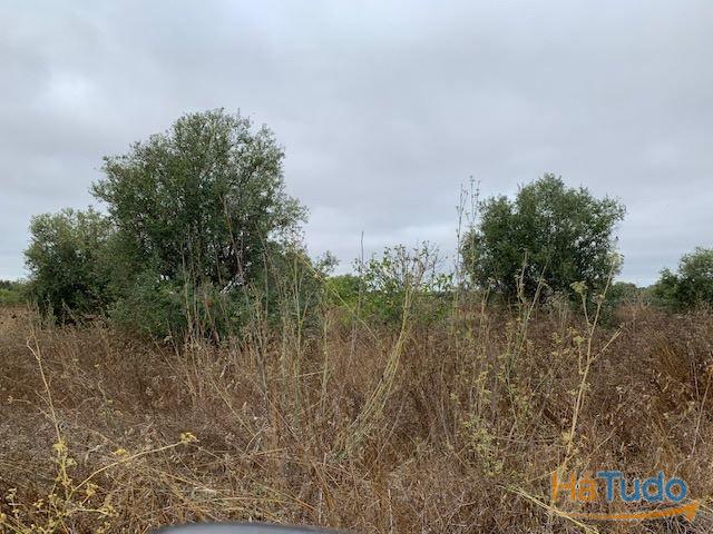 Quinta Alentejo com 5,6Ha Quinta Alentejo com 5,6Ha