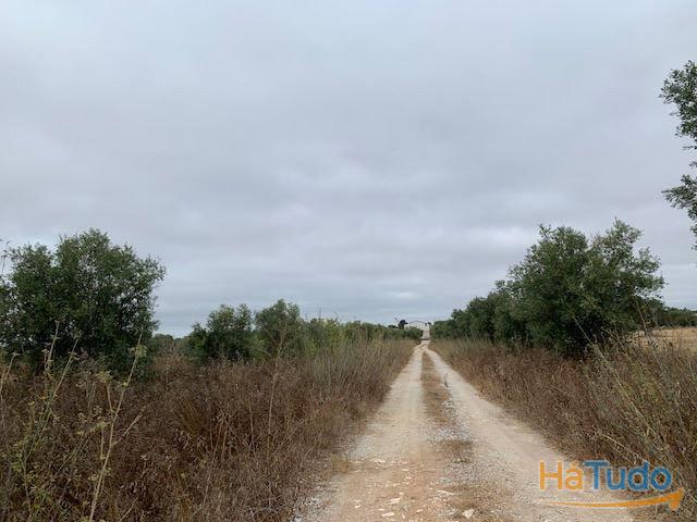 Quinta Alentejo com 5,6Ha Quinta Alentejo com 5,6Ha