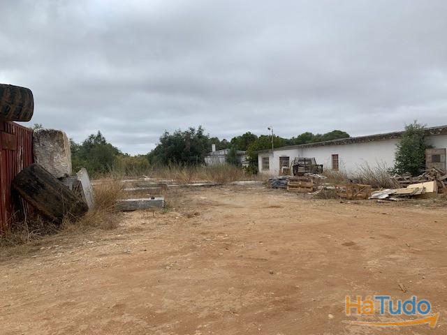 Quinta Alentejo com 5,6Ha Quinta Alentejo com 5,6Ha