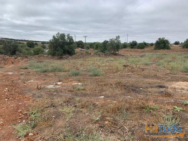 Quinta Alentejo com 5,6Ha Quinta Alentejo com 5,6Ha