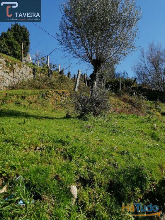 Moradia pedra c/ vistas magnificas Moradia pedra c/ vistas magnificas