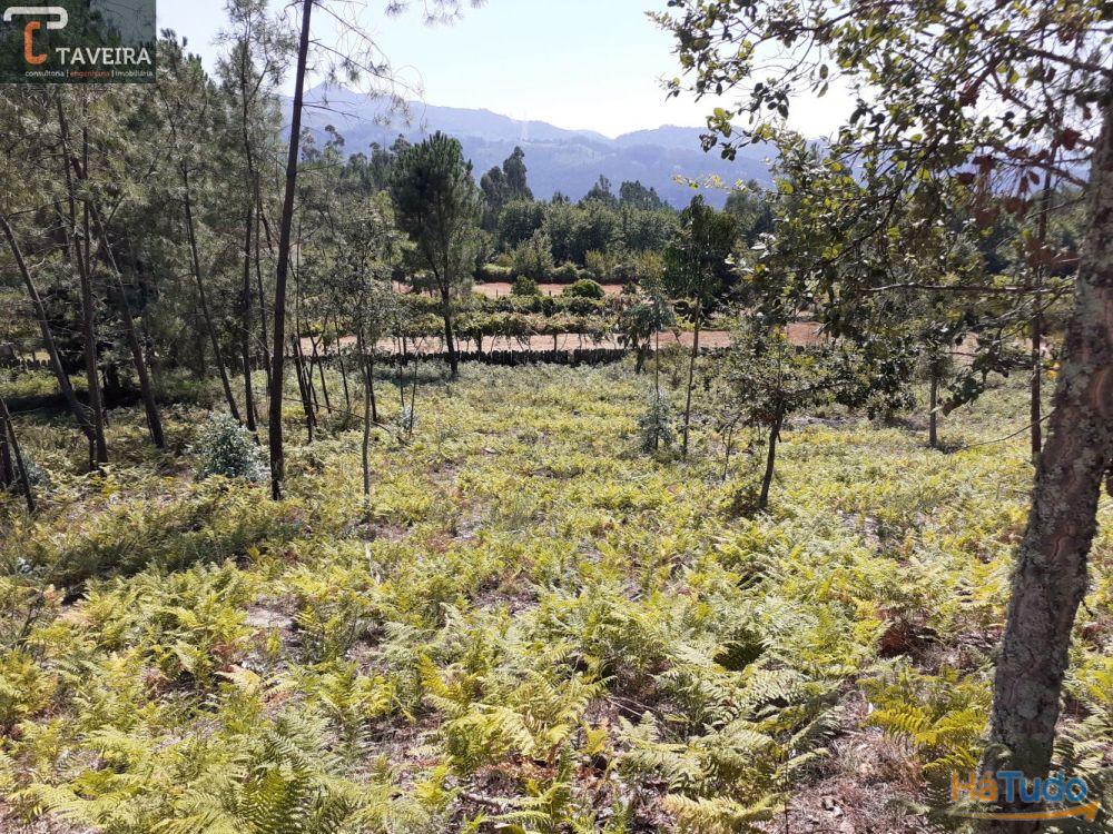 Moradia para restauro + Terreno Moradia para restauro + Terreno