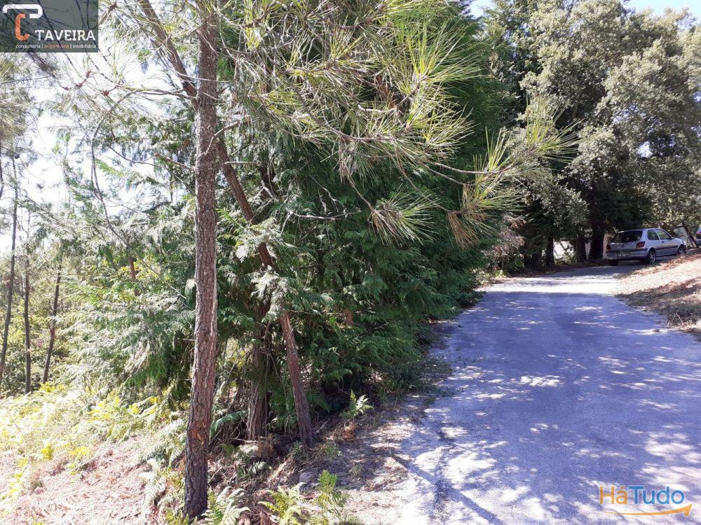 Moradia para restauro + Terreno Moradia para restauro + Terreno