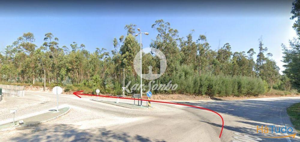 Terreno Florestal com 10.000m2 em Tougues - Vila do Conde