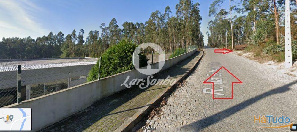 Terreno Florestal com 10.000m2 em Tougues - Vila do Conde