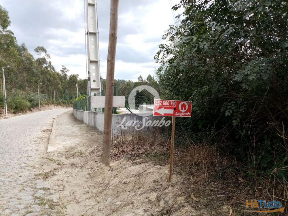 Terreno Florestal com 10.000m2 em Tougues - Vila do Conde