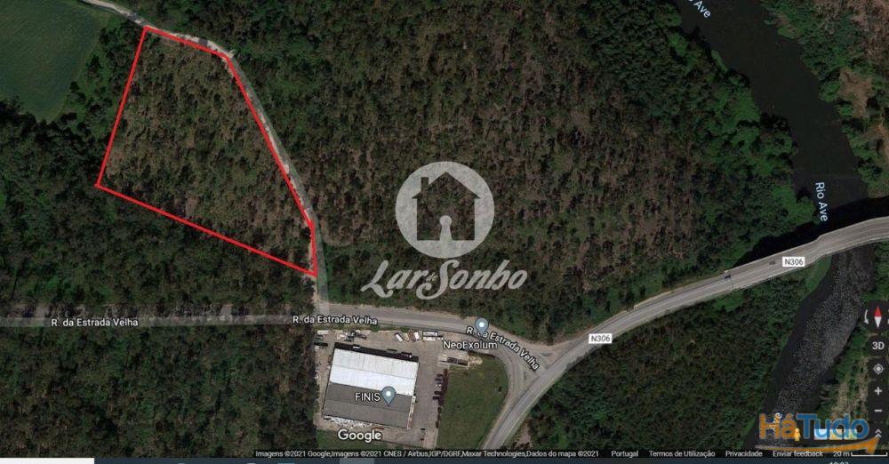 Terreno Florestal com 10.000m2 em Tougues - Vila do Conde