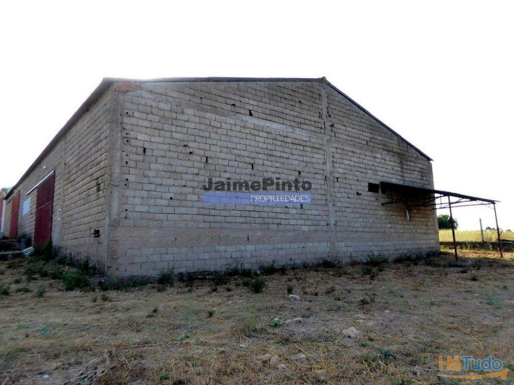 Armazém 501 m2 Felgar. Portugal, Bragança, Torre de Moncorvo. Armazém 501 m2 Felgar. Portugal, Bragança, Torre de Moncorvo.