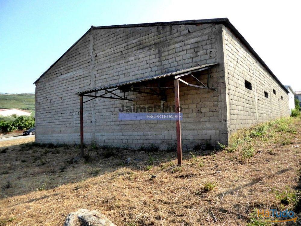 Armazém 501 m2 Felgar. Portugal, Bragança, Torre de Moncorvo. Armazém 501 m2 Felgar. Portugal, Bragança, Torre de Moncorvo.