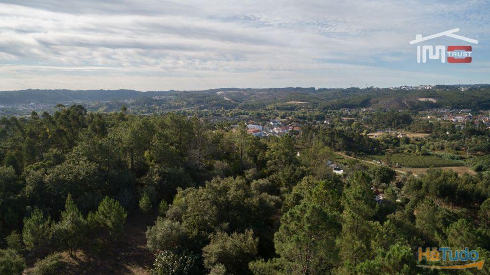 Dois lotes Maravilhosos com uma moradia aprovada, em local soberbo. Dois lotes Maravilhosos com uma moradia aprovada, em local soberbo.