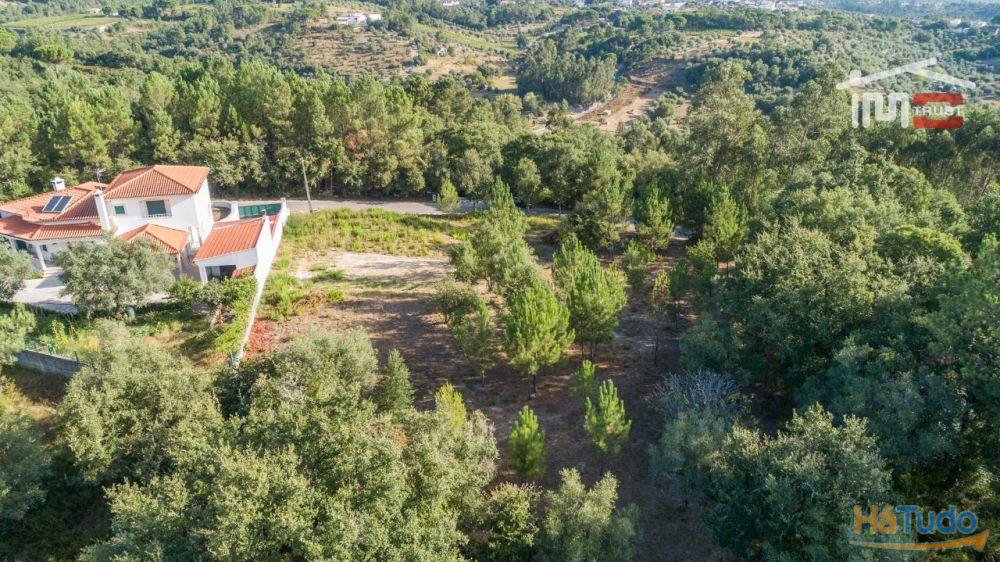 Dois lotes Maravilhosos com uma moradia aprovada, em local soberbo. Dois lotes Maravilhosos com uma moradia aprovada, em local soberbo.