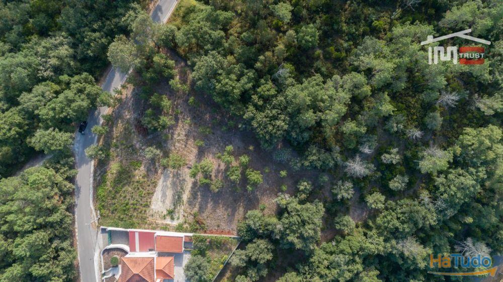 Dois lotes Maravilhosos com uma moradia aprovada, em local soberbo. Dois lotes Maravilhosos com uma moradia aprovada, em local soberbo.