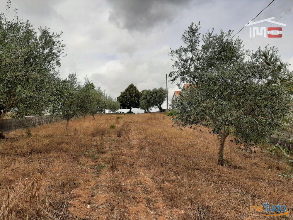 TERRENO COM ÁREA DE 1588m2 em Fátima TERRENO COM ÁREA DE 1588m2 em Fátima