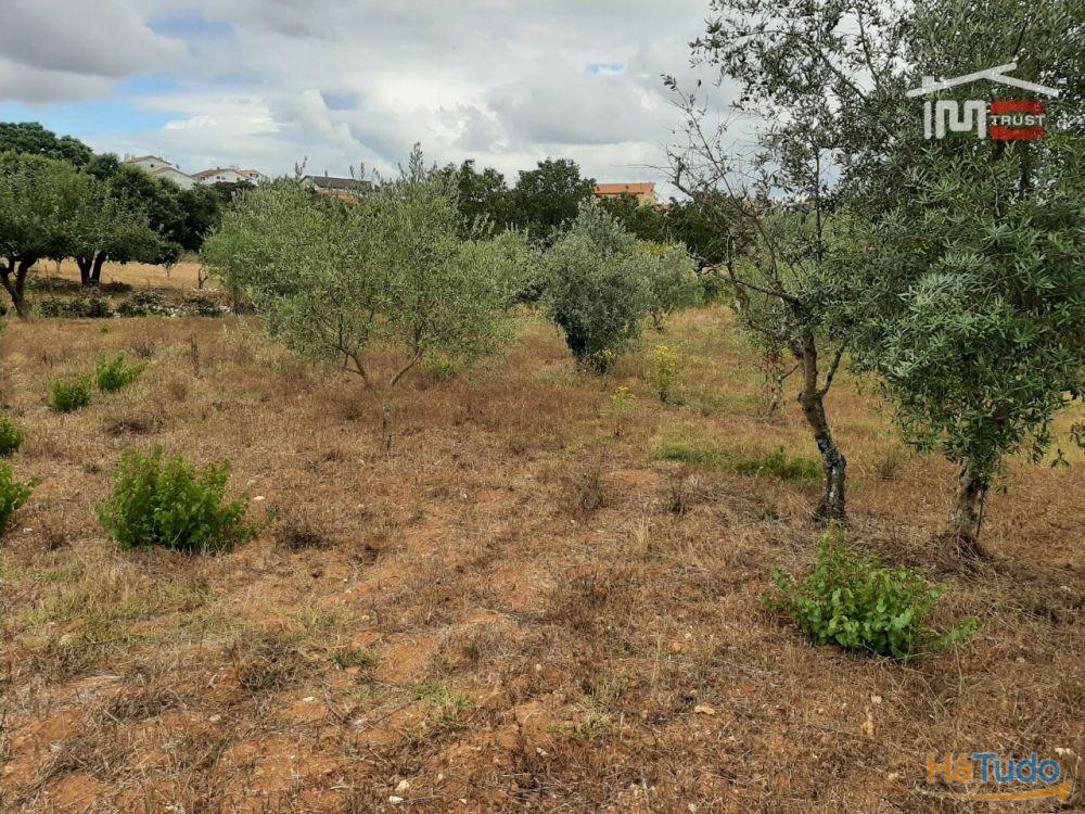 TERRENO COM ÁREA DE 1588m2 em Fátima TERRENO COM ÁREA DE 1588m2 em Fátima