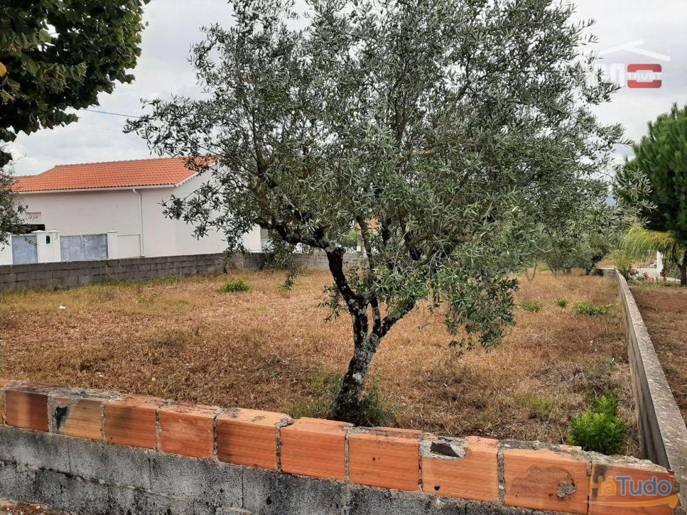 TERRENO COM ÁREA DE 1588m2 em Fátima TERRENO COM ÁREA DE 1588m2 em Fátima