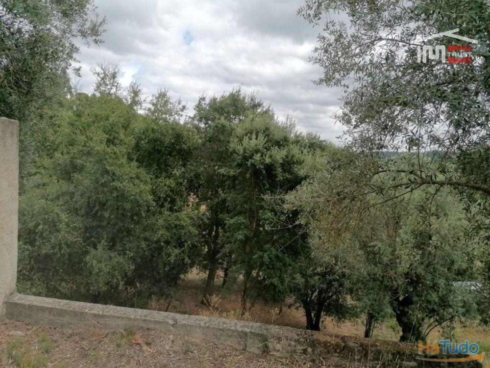 Barracão em terreno rústico no vale Freixo Barracão em terreno rústico no vale Freixo