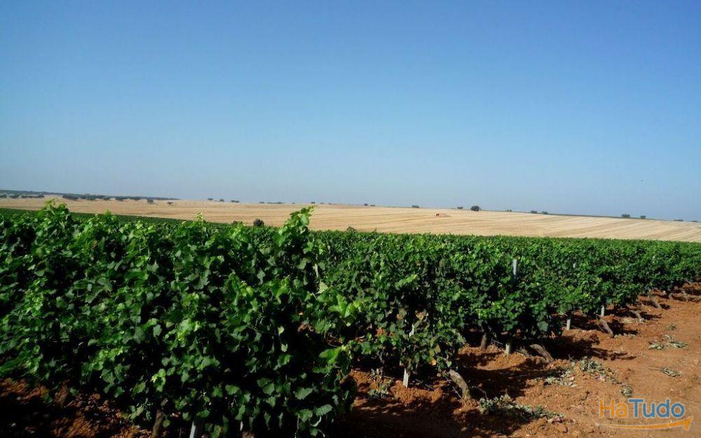 Vende-se Herdade de 12.000.000 m2, Portugal, Alentejo, Beja Vende-se Herdade de 12.000.000 m2, Portugal, Alentejo, Beja