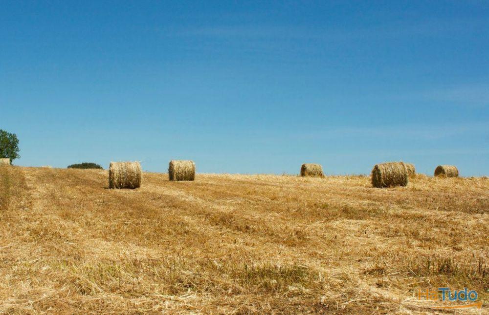 Vende-se Herdade de 12.000.000 m2, Portugal, Alentejo, Beja Vende-se Herdade de 12.000.000 m2, Portugal, Alentejo, Beja