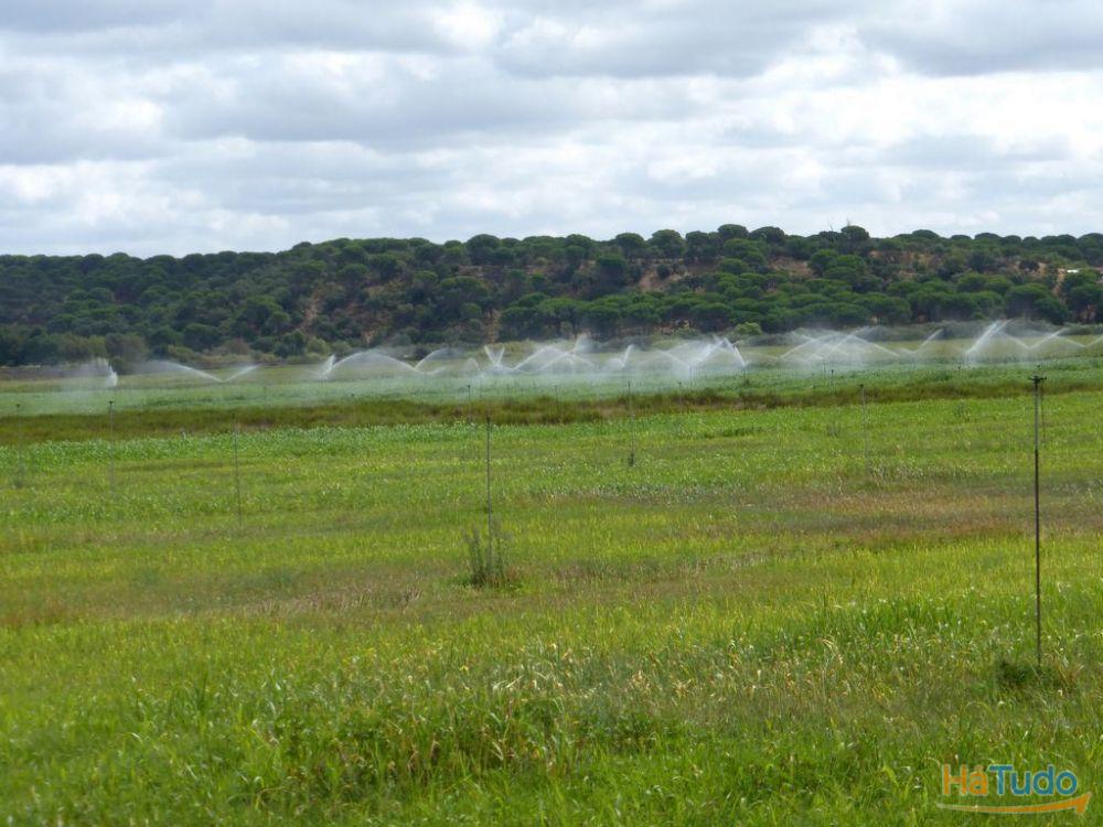 Vende-se Herdade de 12.000.000 m2, Portugal, Alentejo, Beja Vende-se Herdade de 12.000.000 m2, Portugal, Alentejo, Beja