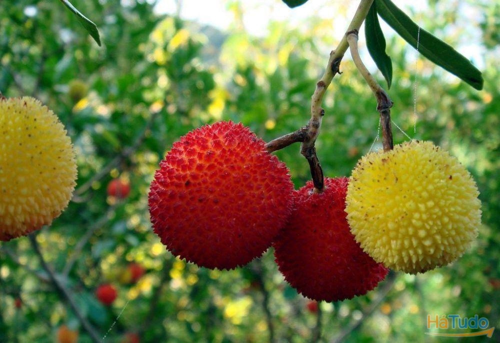 Vende-se Herdade de 12.000.000 m2, Portugal, Alentejo, Beja Vende-se Herdade de 12.000.000 m2, Portugal, Alentejo, Beja