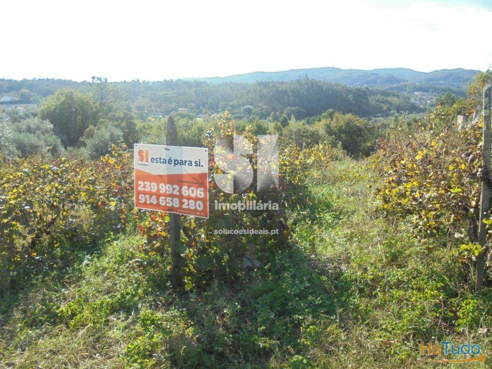 Terreno - Vila Nova de Poiares Terreno - Vila Nova de Poiares