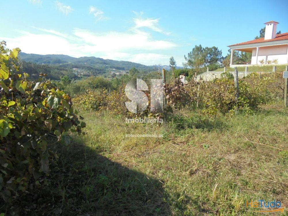 Terreno - Vila Nova de Poiares Terreno - Vila Nova de Poiares