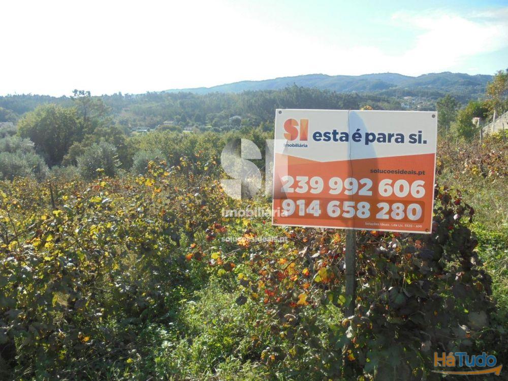 Terreno - Vila Nova de Poiares Terreno - Vila Nova de Poiares
