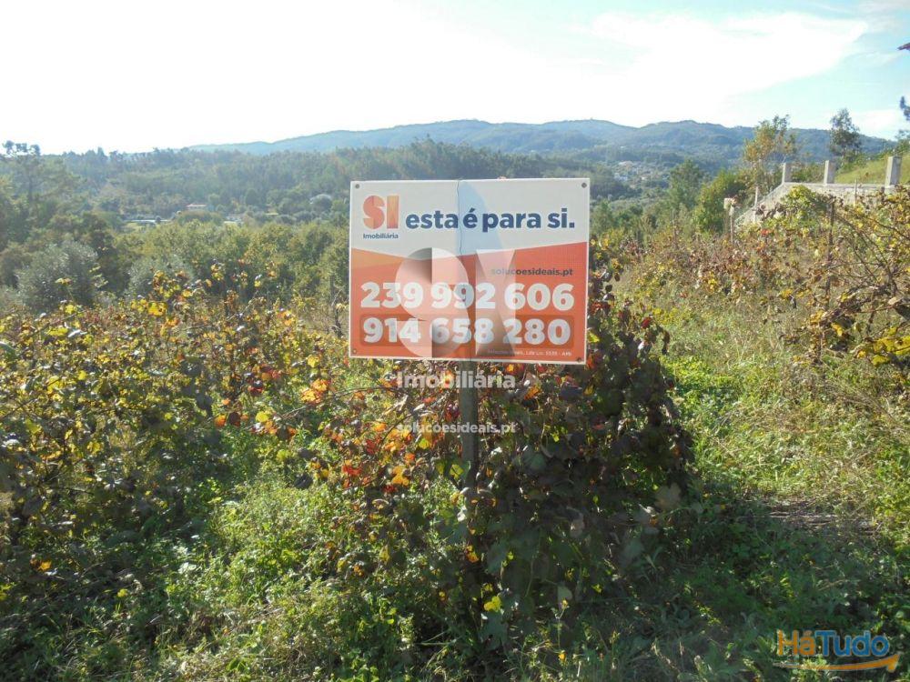 Terreno - Vila Nova de Poiares Terreno - Vila Nova de Poiares
