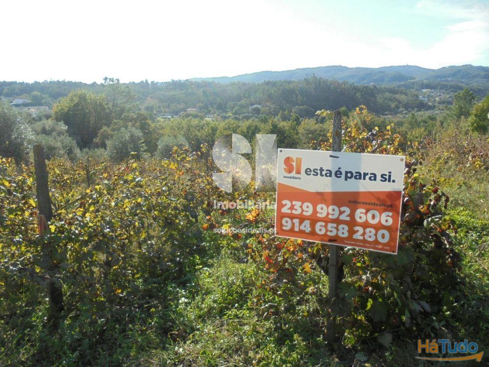 Terreno - Vila Nova de Poiares Terreno - Vila Nova de Poiares