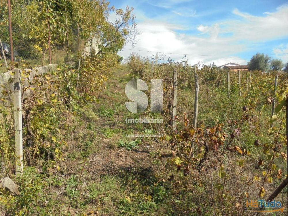 Terreno - Vila Nova de Poiares Terreno - Vila Nova de Poiares