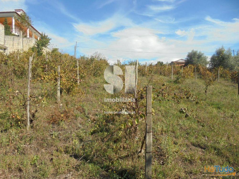 Terreno - Vila Nova de Poiares Terreno - Vila Nova de Poiares