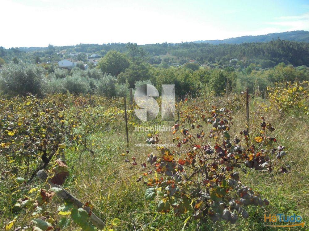 Terreno - Vila Nova de Poiares Terreno - Vila Nova de Poiares